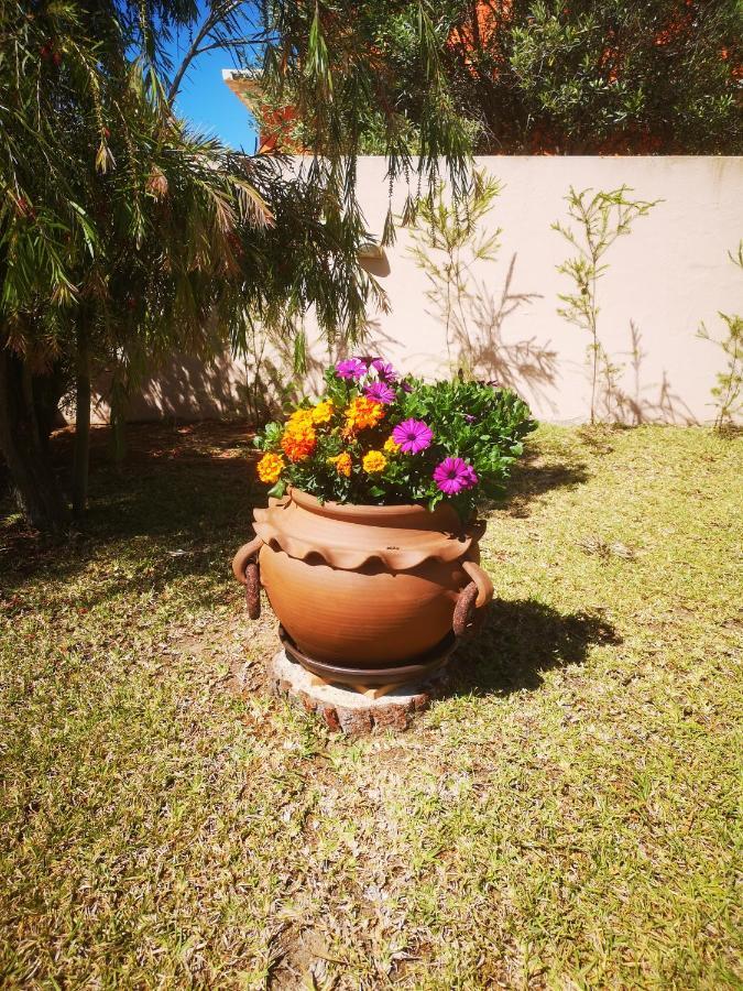 Casa Dos Cedros Hotel Lagos Buitenkant foto